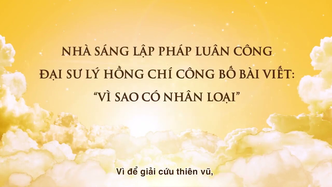 Bài Viết 