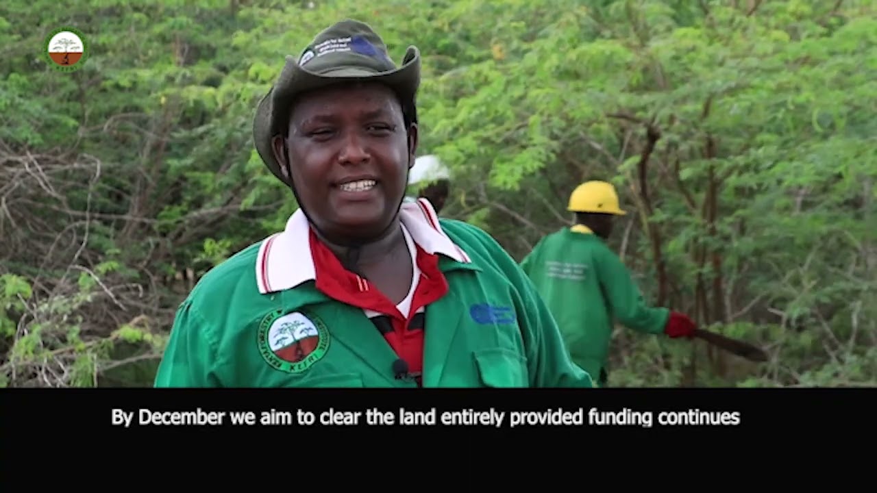Clearing and Reclaiming of Prosopis invaded land in Garissa and Tana River Counties