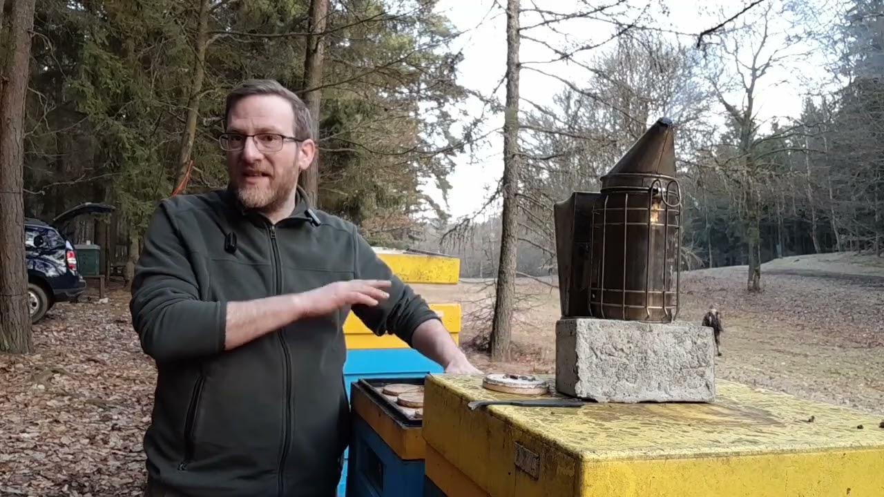 Inspekce včelstev na lesním stanovišti.. vypadá to dobře :-)