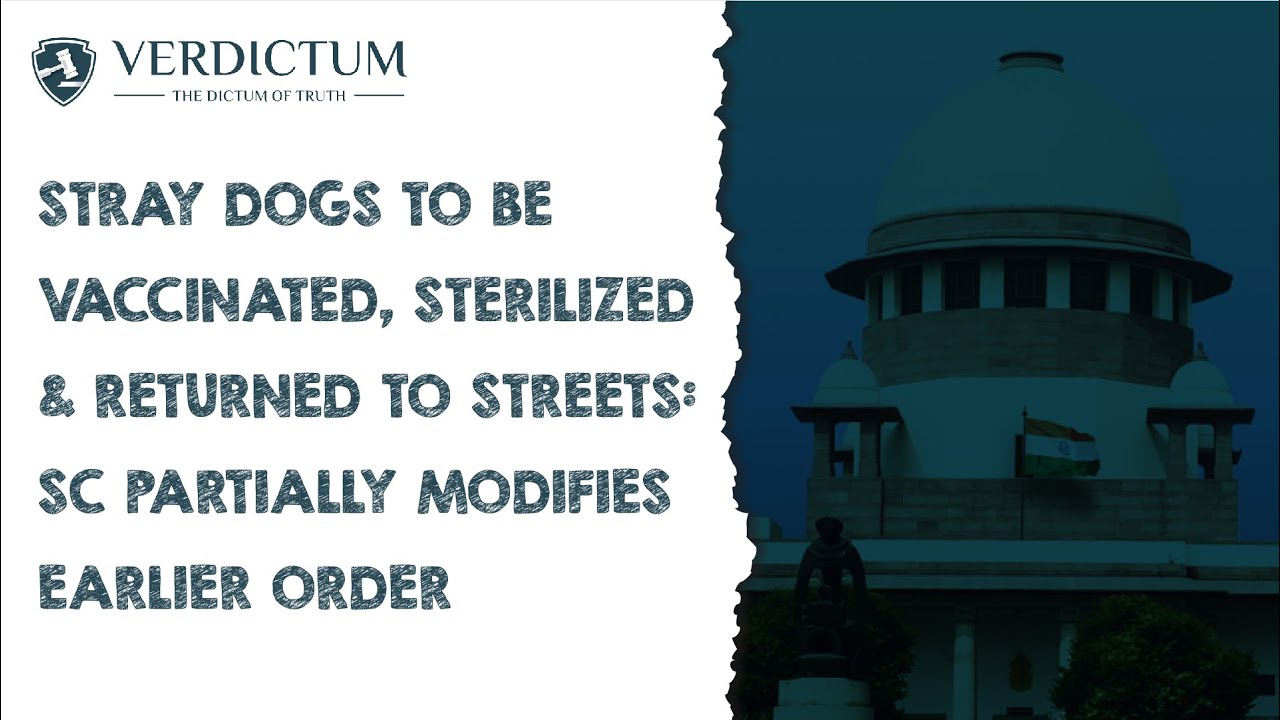 Stray Dogs To Be Vaccinated, Sterilized & Returned To Streets: SC Partially Modifies Earlier Order