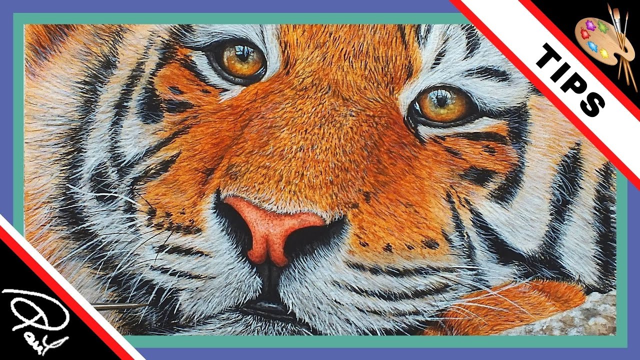 HOW TO USE WATERCOLOUR - To paint a Tiger!