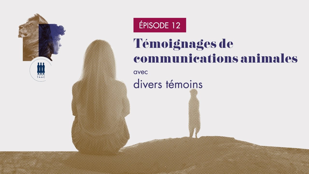 ÉPISODE 12/ Témoignages de communications animales - Témoins