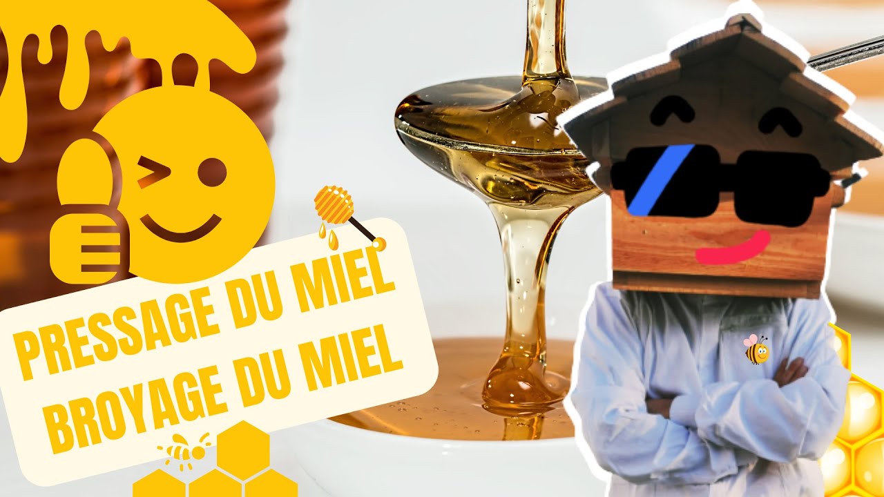 Comment faire du Miel Pressé : Votre Guide Complet pour un miel brut d'exception ! 🍯🐝🍯