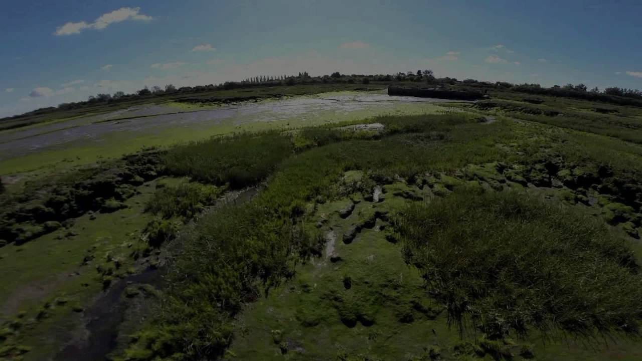 Osea Island