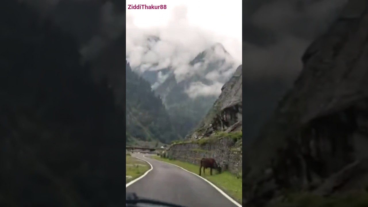 Mountain Memories With Best Friends.