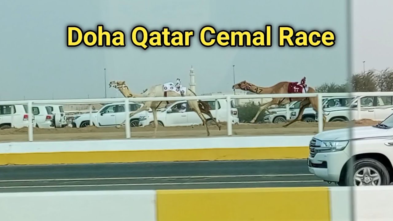 Doha Qatar Cemal Race 