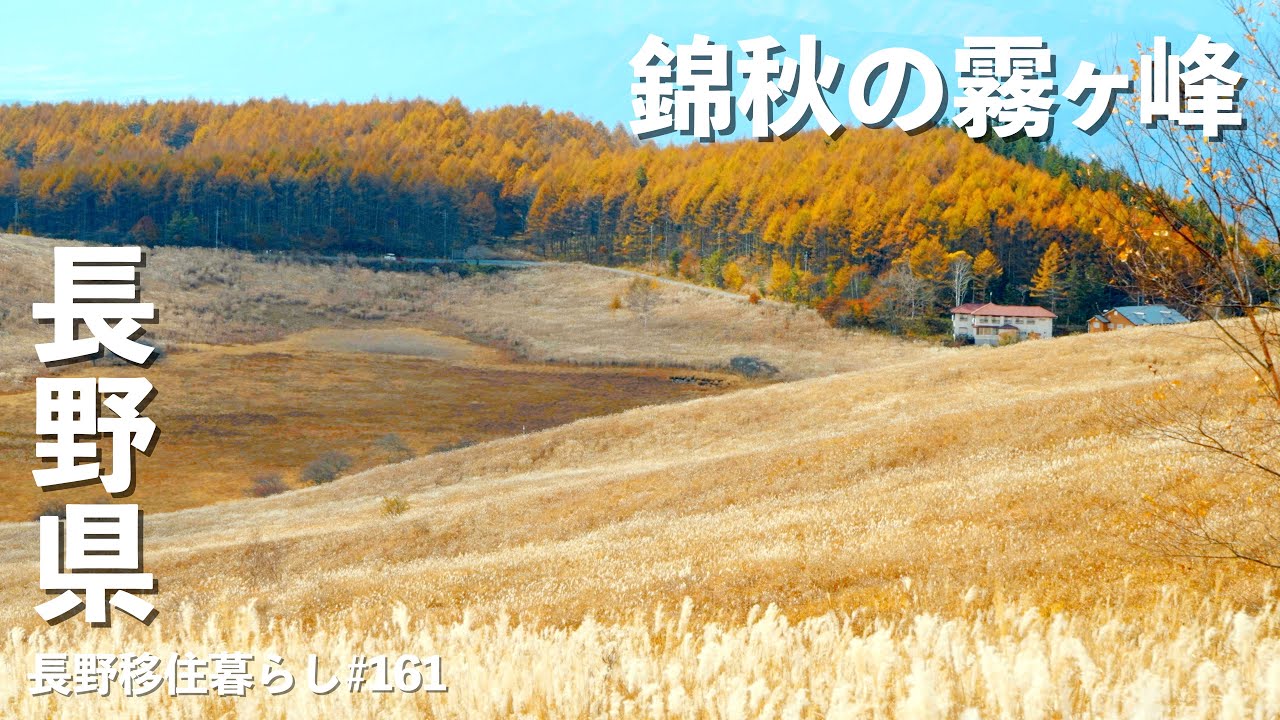 【長野移住】秋のビーナスラインは一際綺麗!!コロボックルでカフェの後は散策がオススメ♪｜霧ヶ峰｜ビーナスライン｜ドライブ｜田舎暮らし｜長野県｜4K