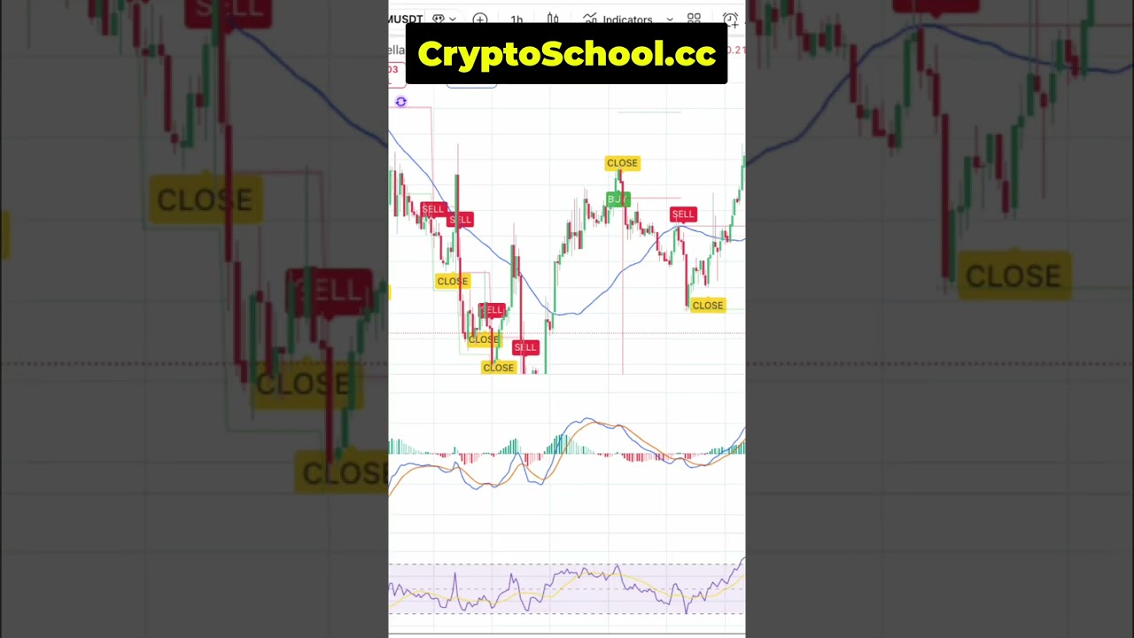 Stop Losing Crypto! Learn The REAL Way With Crypto School