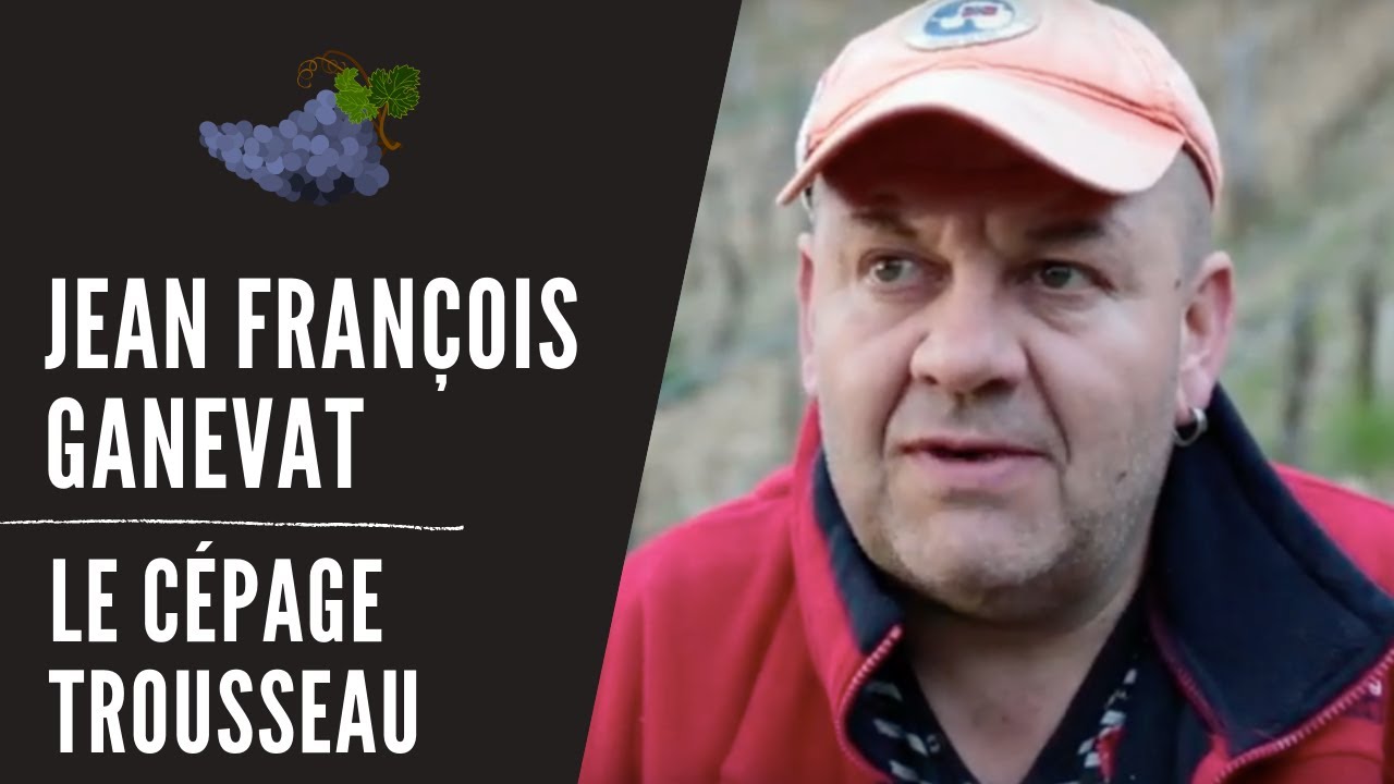 Le cépage Trousseau par Jean François Ganevat