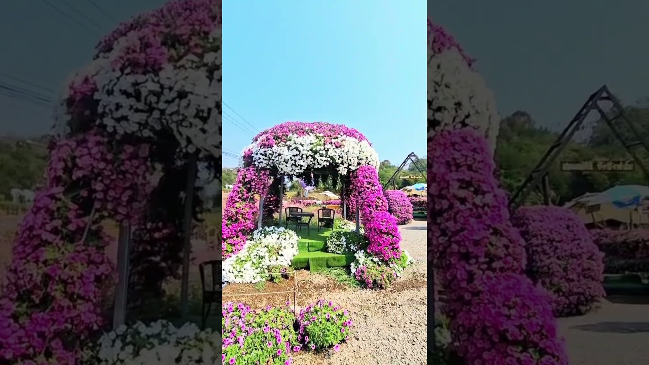 ท่องเที่ยวเมืองแพร่ไร่ปังๆๆๆเด่นชัย