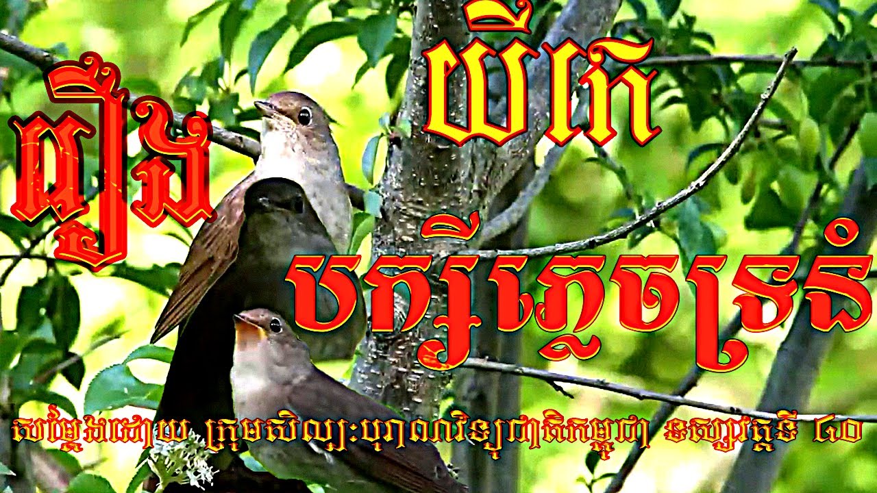 យីកេរឿងបក្សីភ្លេចទ្រនំ