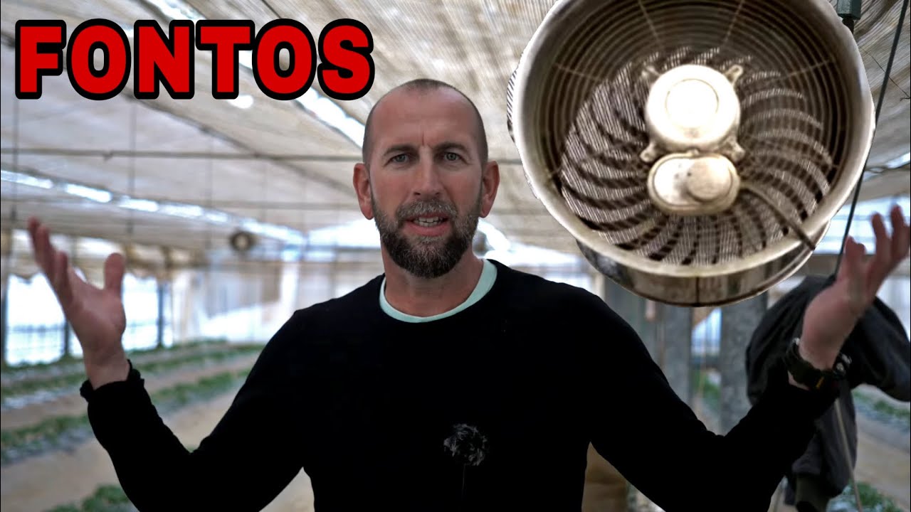 Ventilátor beállítása fóliaházban