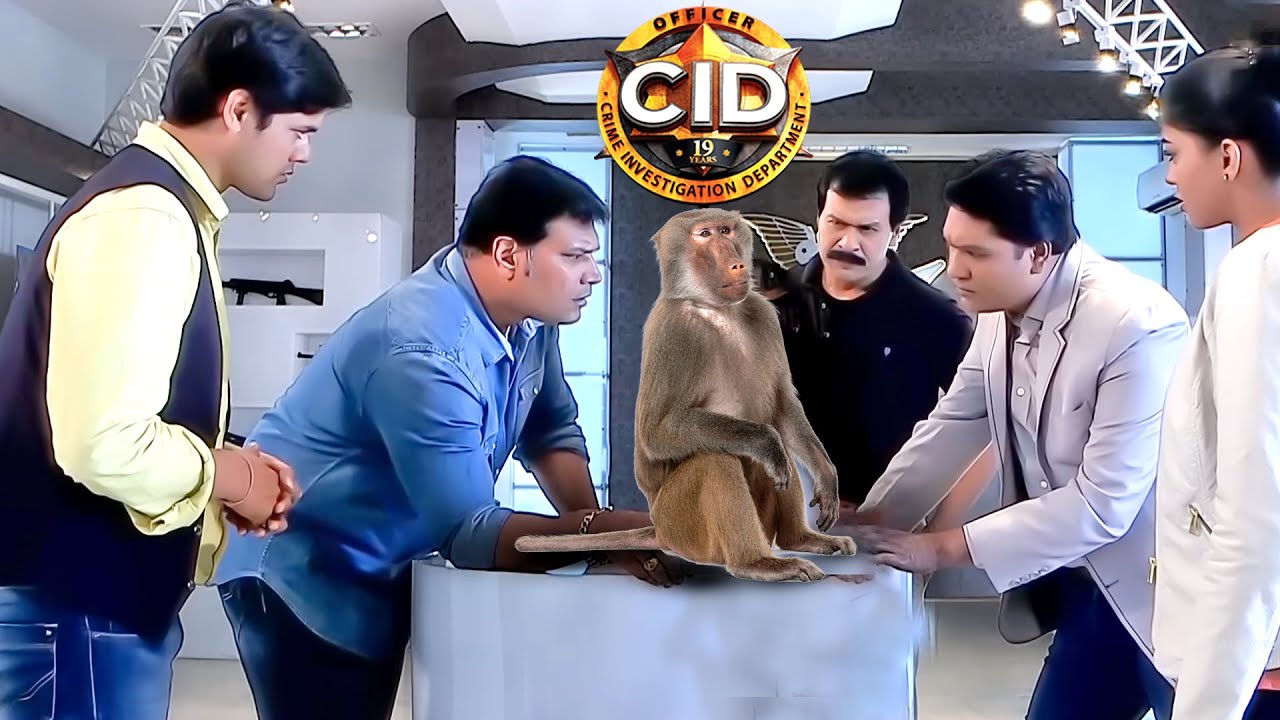 সিআইডিকে সাহায্য করেছিল বানর || সিআইডি CID || bengali crime series- 2024