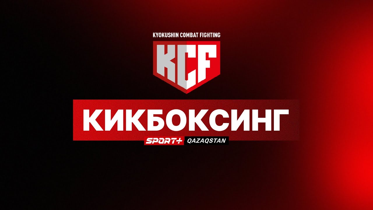 Kyokushin Combat Fighting 2