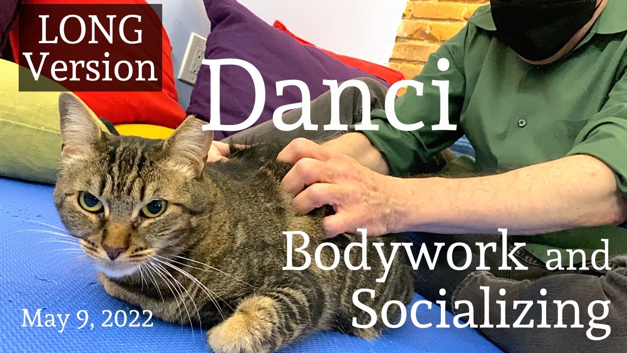 Danci — Bodywork and Socializing — May 9, 2022 — LONG Version