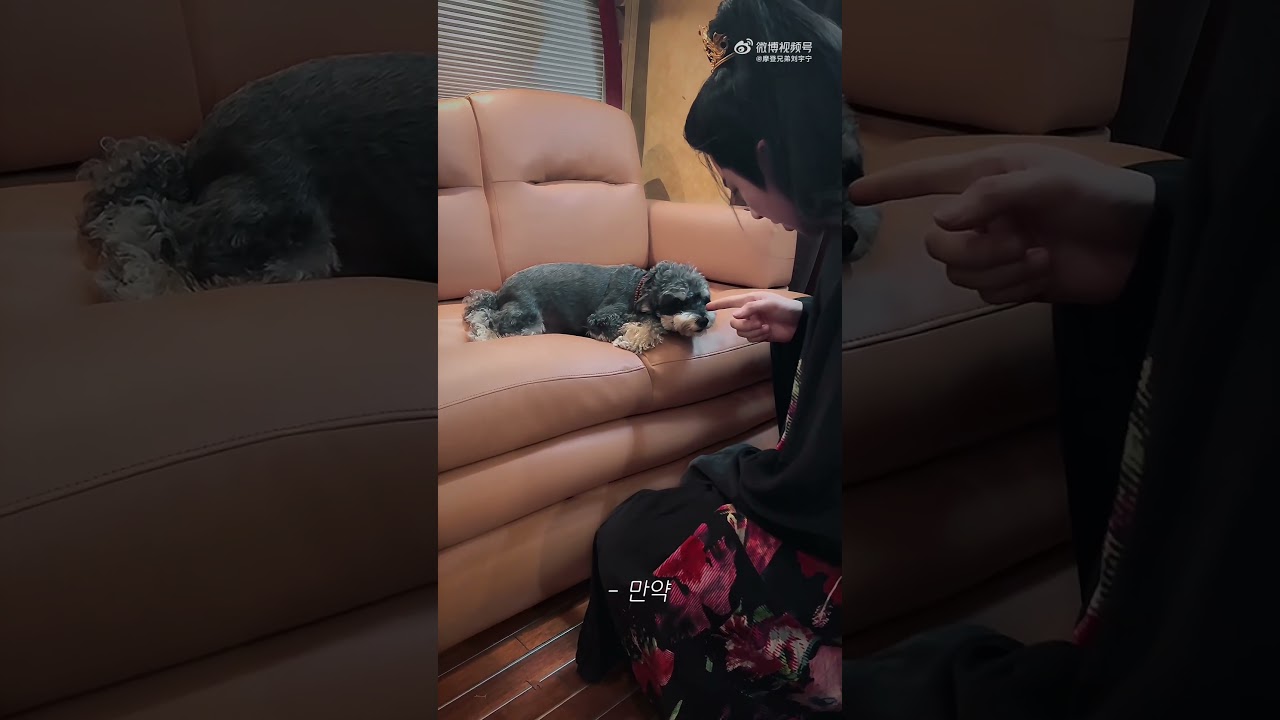 따이미야 왜 그랫서.. #류우녕 #刘宇宁