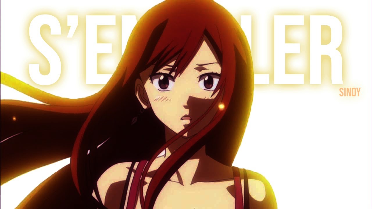 AMV Fairy Tail || S'Envoler (Lyrics)