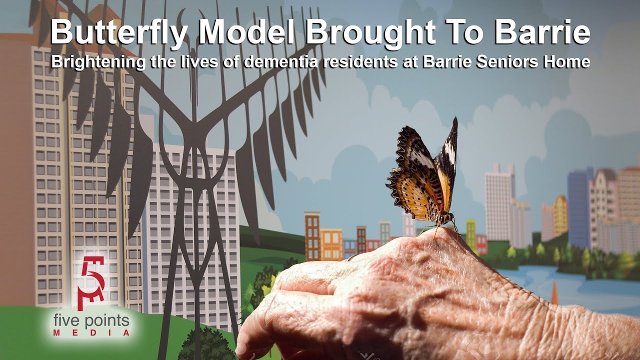 Butterfly Model Brought To Barrie