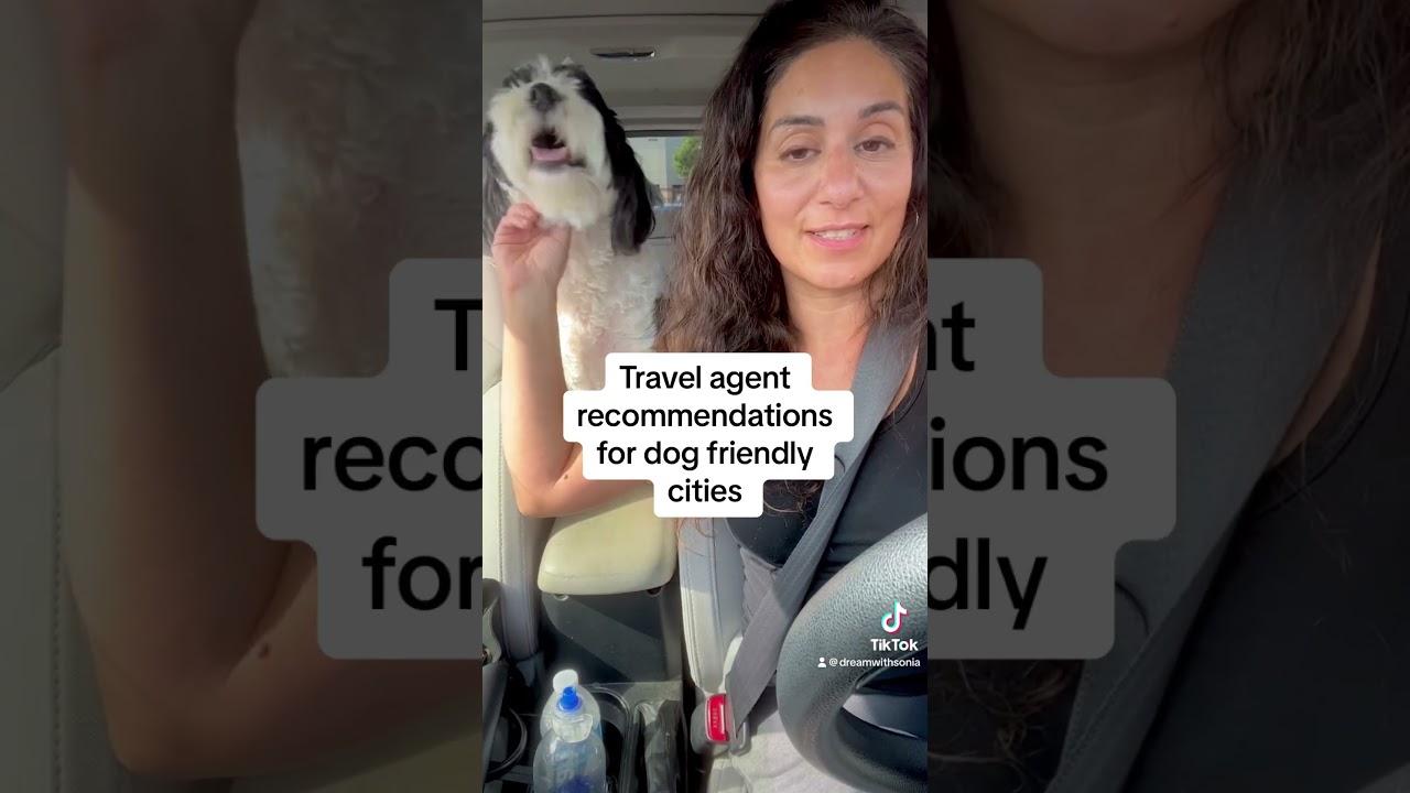 Most dog friendly vacation destinations in the US