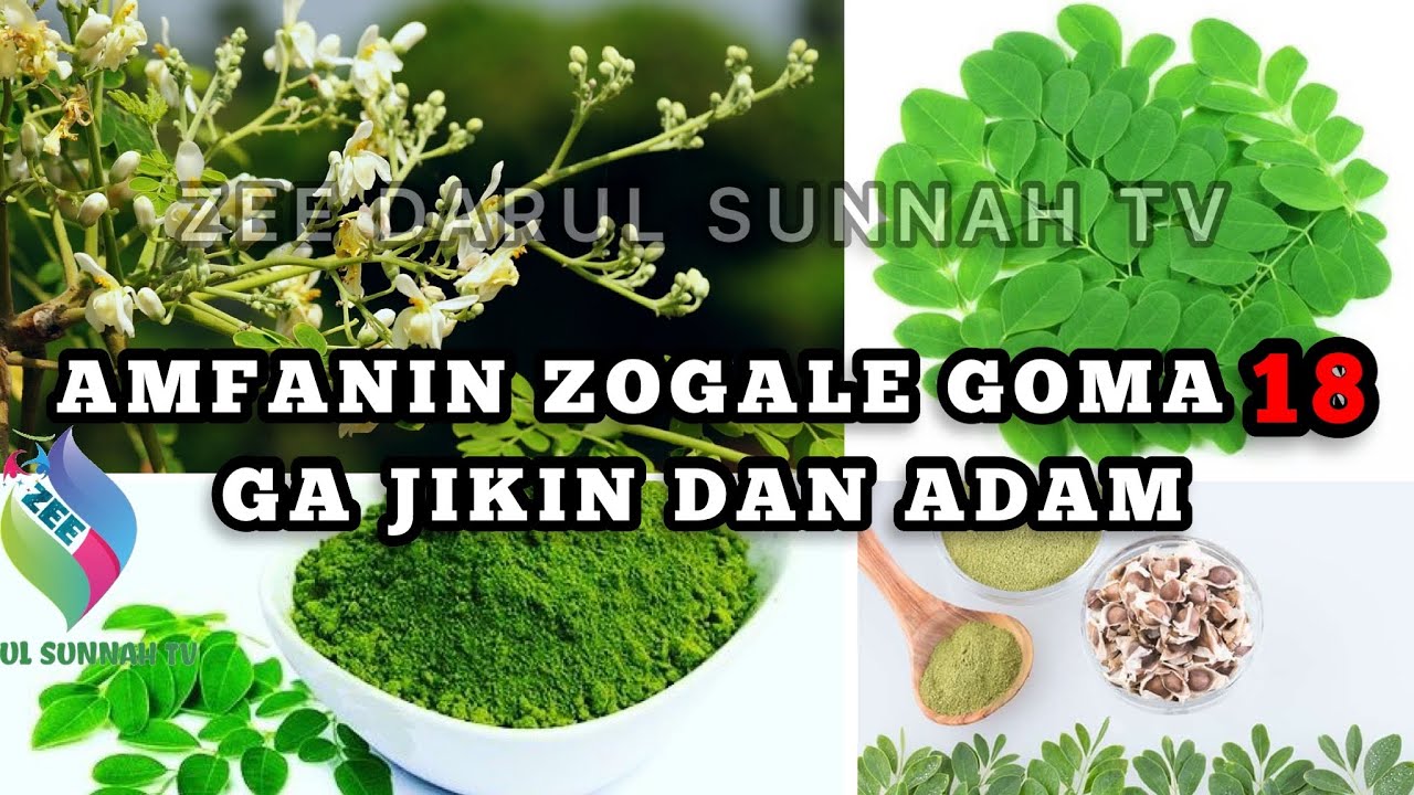 AMFANIN ZOGALE GOMA SHA (18) GA JIKIN DAN ADAM DA BAKU SANSU BA!