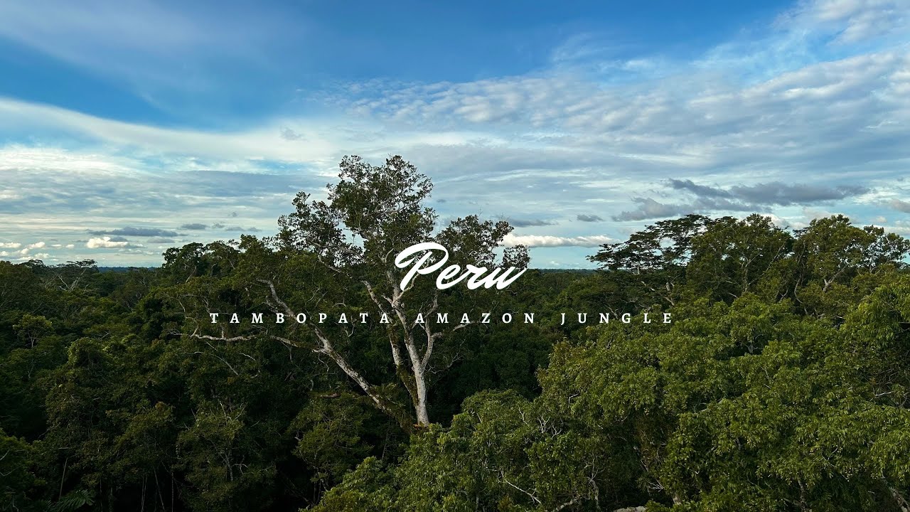 Peru: Amazonian Jungle • Eco-Lodge & Food Forest