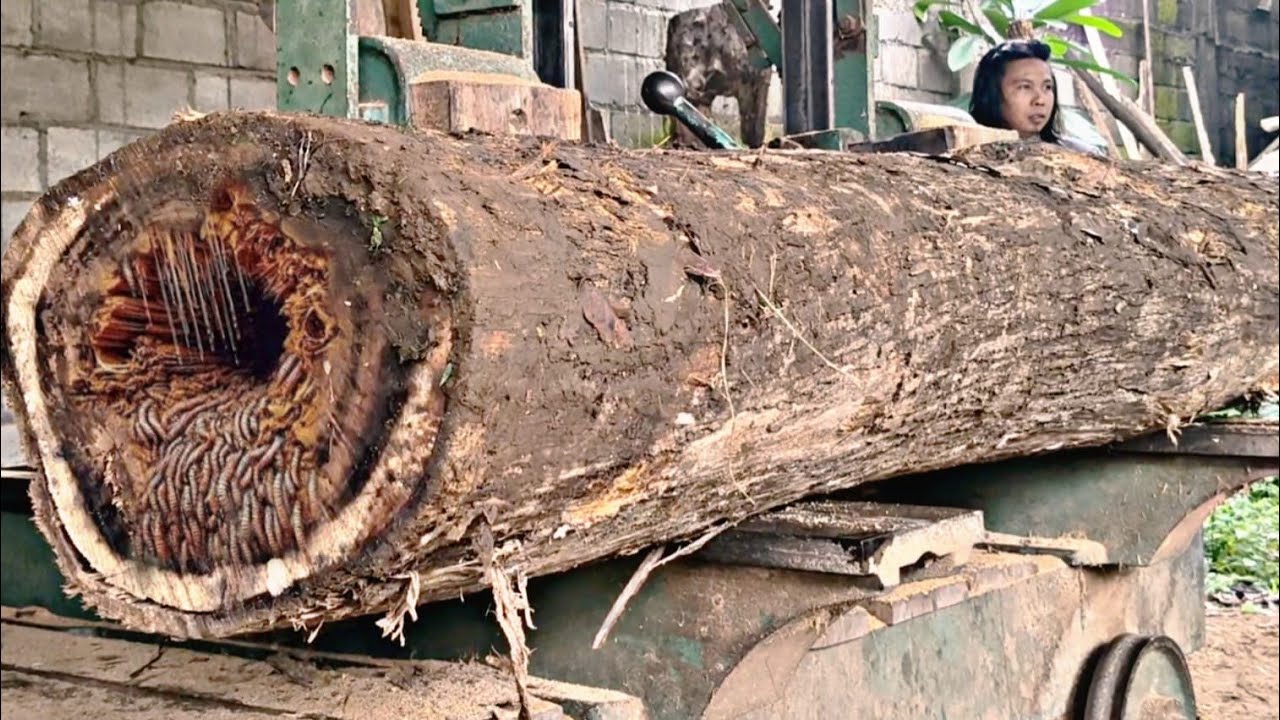 Amazing, very classy and beautiful teak wood planks in the sawmill.