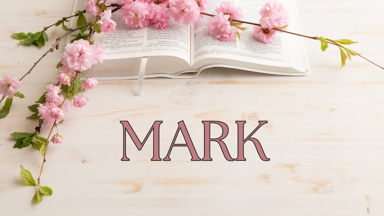 Own It! | Mark 4:1-25 | Renee Bollas