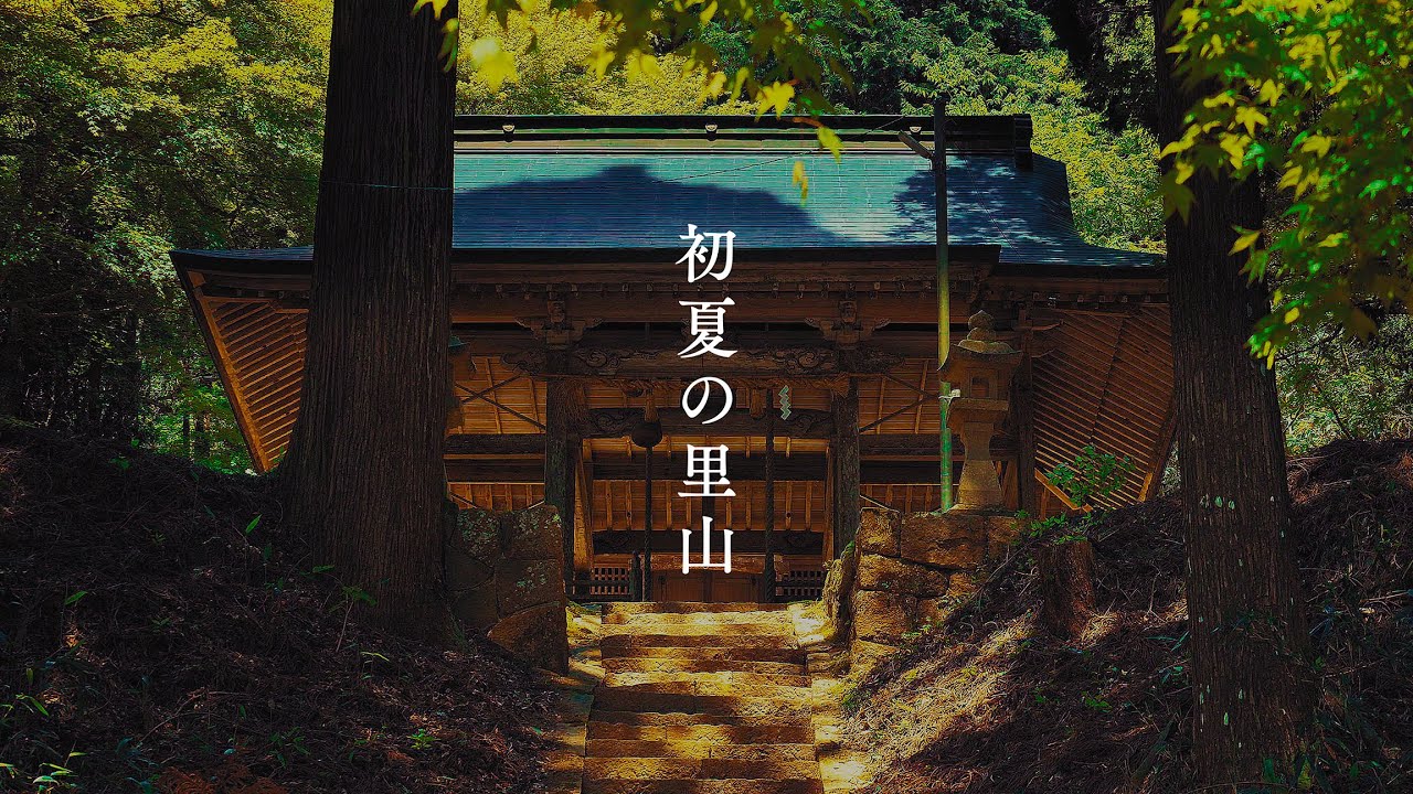 糸井川 と 里山の水を護るカツラの大木 │ Itoi river runs through Itoi village , Hyógo