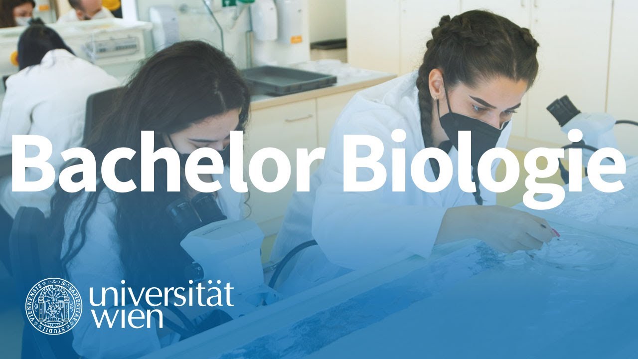 Biologie-Bachelorstudium an der Uni Wien: Inhalt, Voraussetzungen, Berufsaussichten
