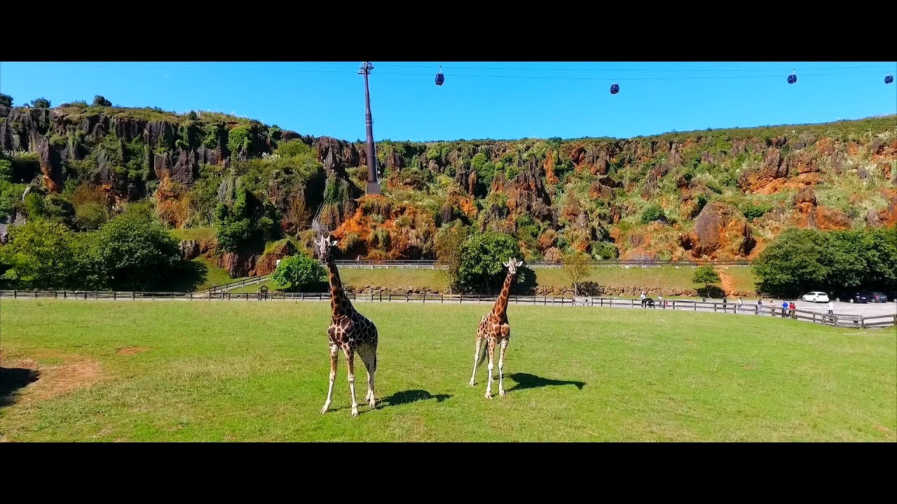 Parque de la Naturaleza de Cabárceno