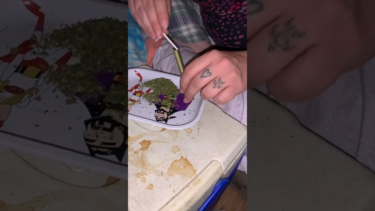 How to pack a king palm