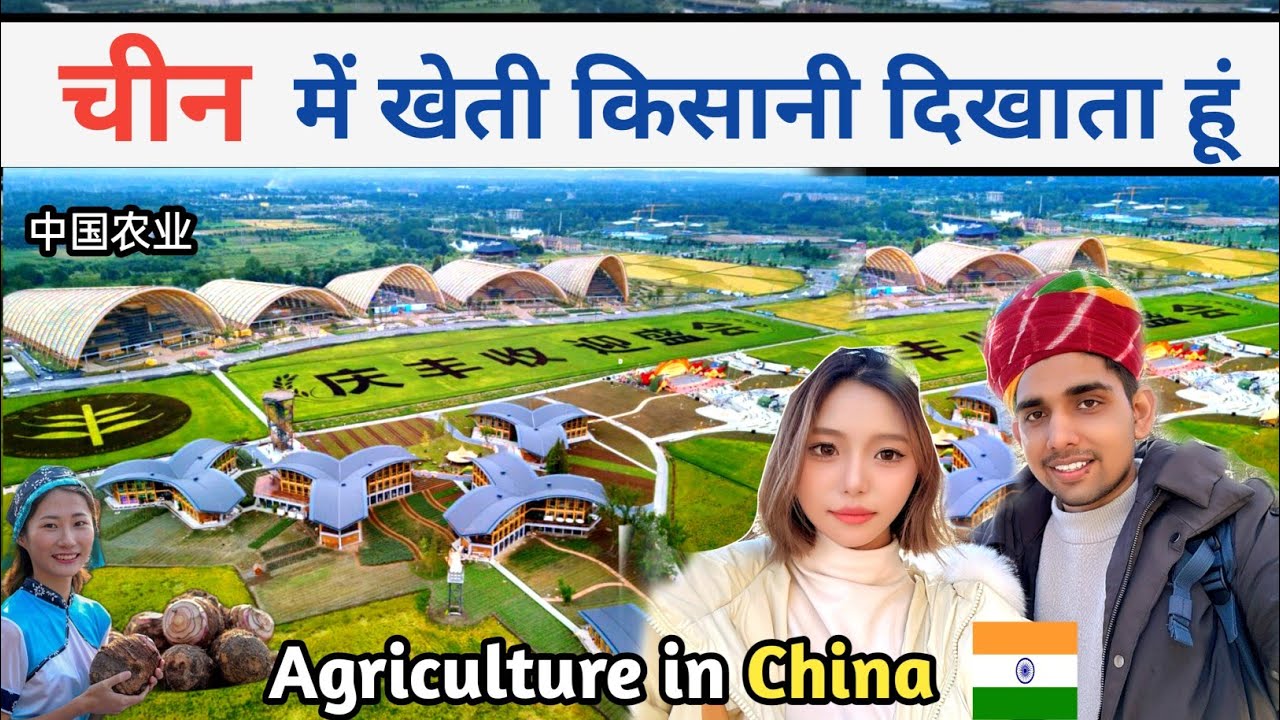 चीन में खेती किसानी दिखाता हूँ agriculture in China Niranjan