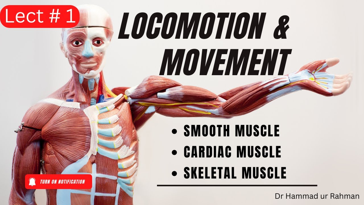 Lect #1 locomotion and movement | Muscle Physiology