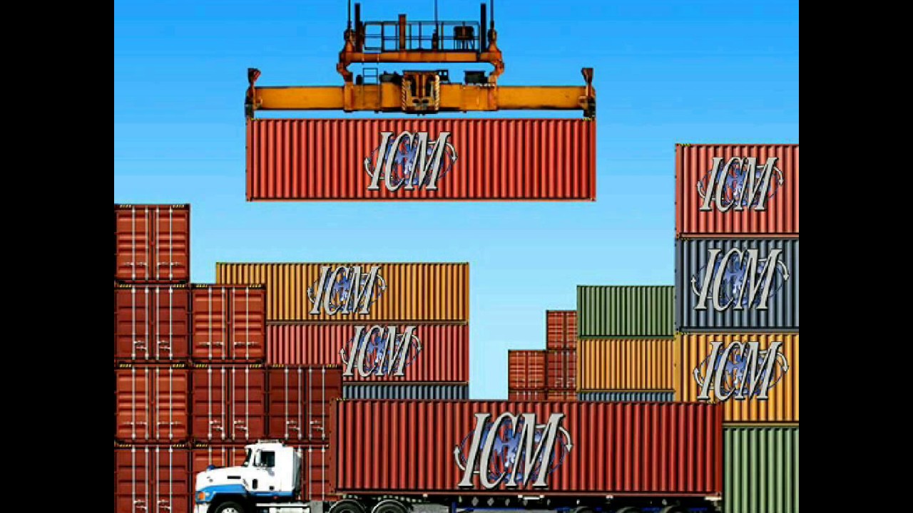 International Cargo Management