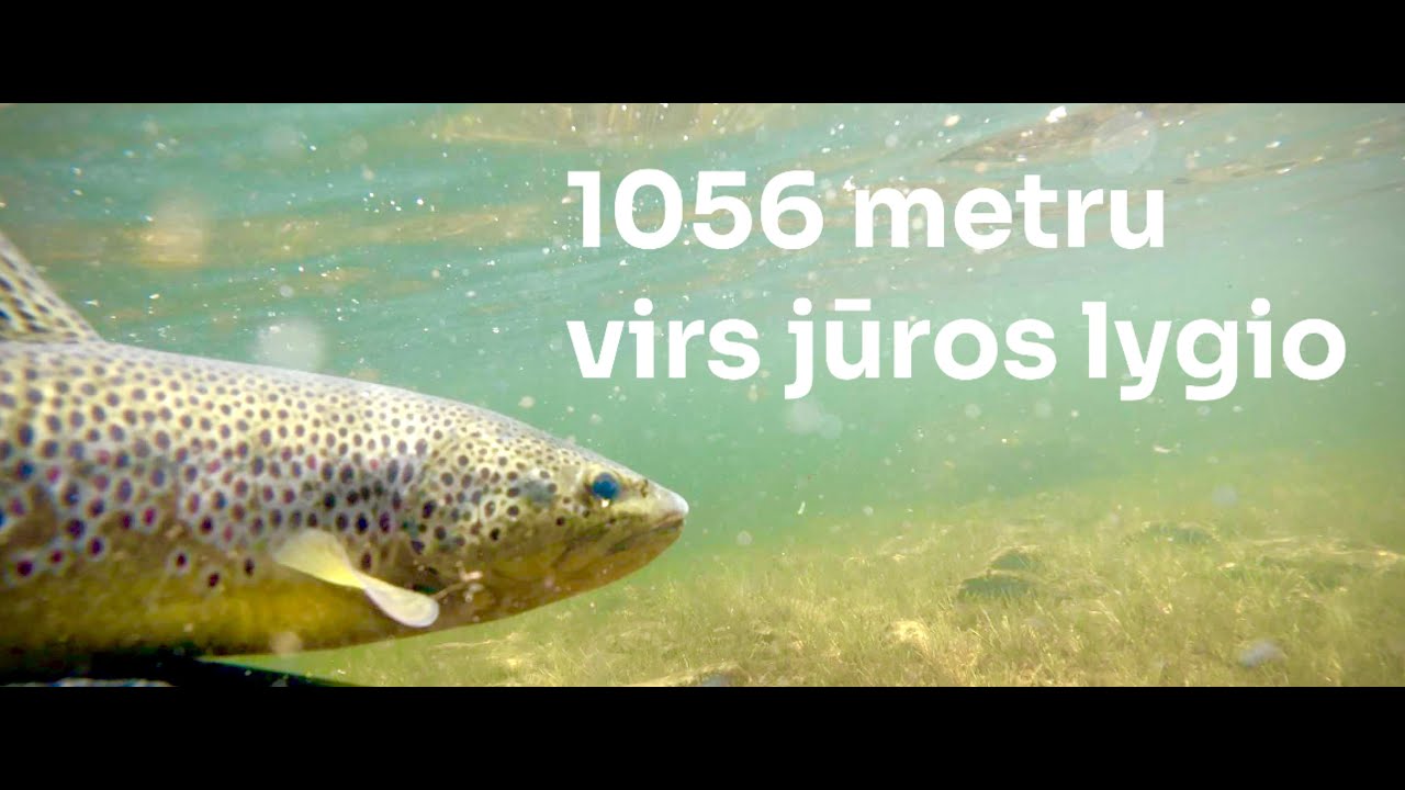 Pagaliau atostogos prasidejo, #1 kalnu upetakiai