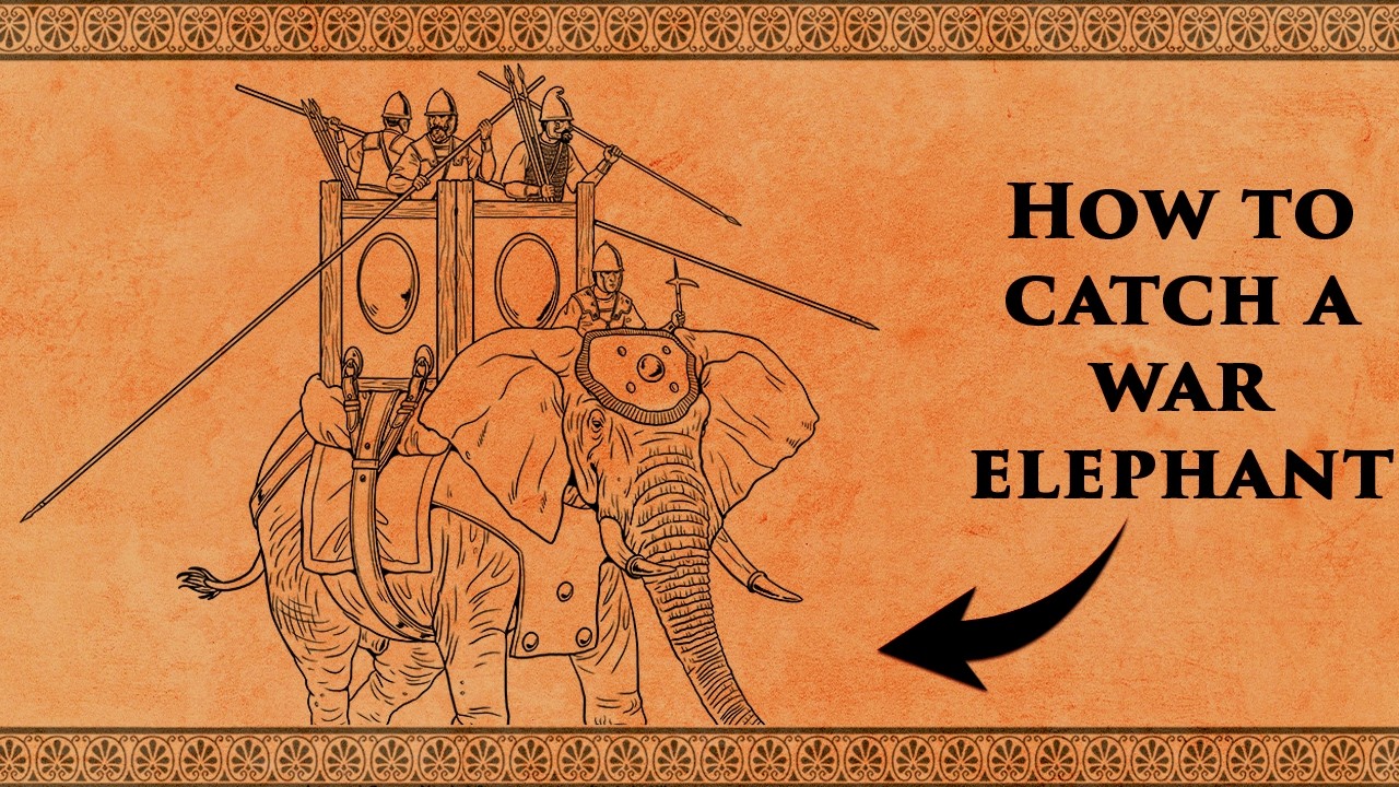 How to Catch a War Elephant