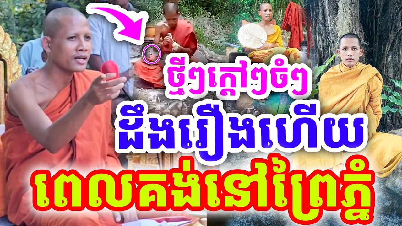 ថ្មីៗក្ដៅៗ ដឹងរឿងច្បាស់ហើយ ពេលគង់នៅក្នុងព្រៃភ្នំ ដោយព្រះអង្គ ចន្ទមុនី ២០២៦