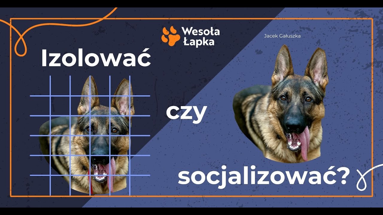 Izolować, czy socjalizować?
