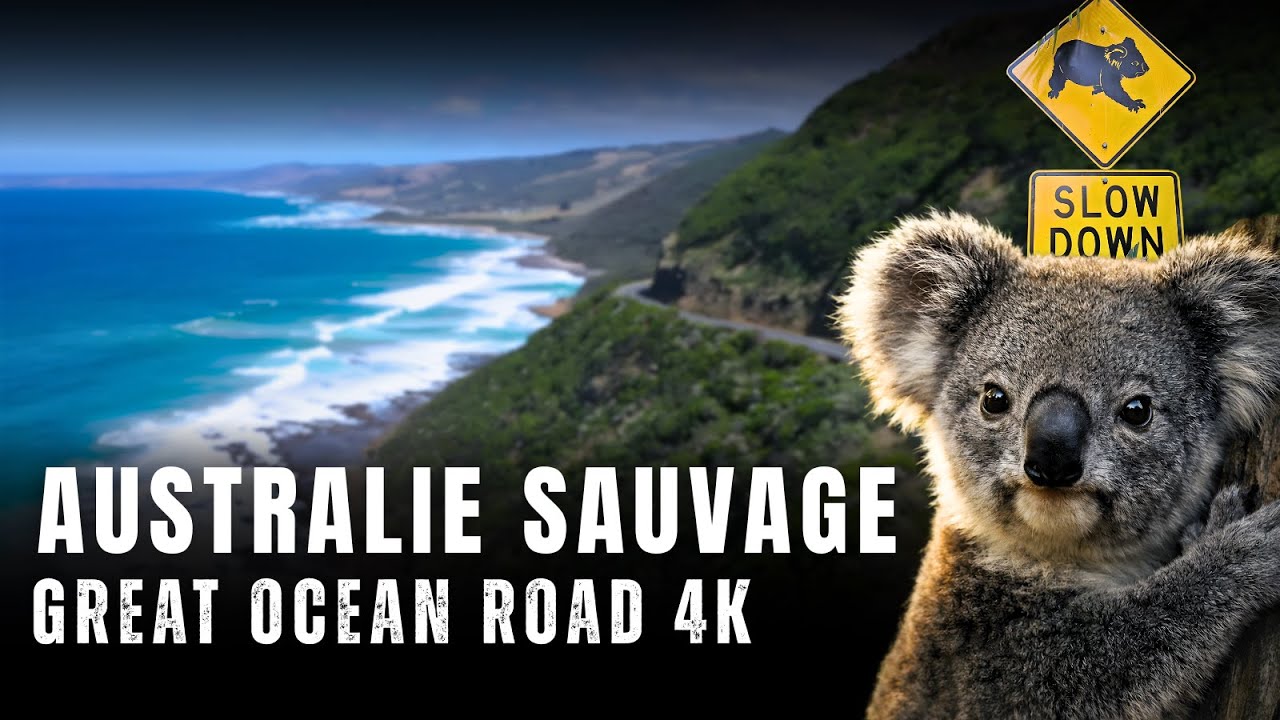 Great Ocean Road & Phillip Island en 4K 🇦🇺 | Forêts, Koalas & Falaises Sauvages