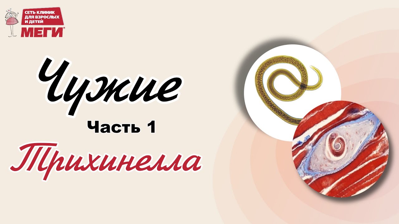 Как паразиты повлияли на жизнь