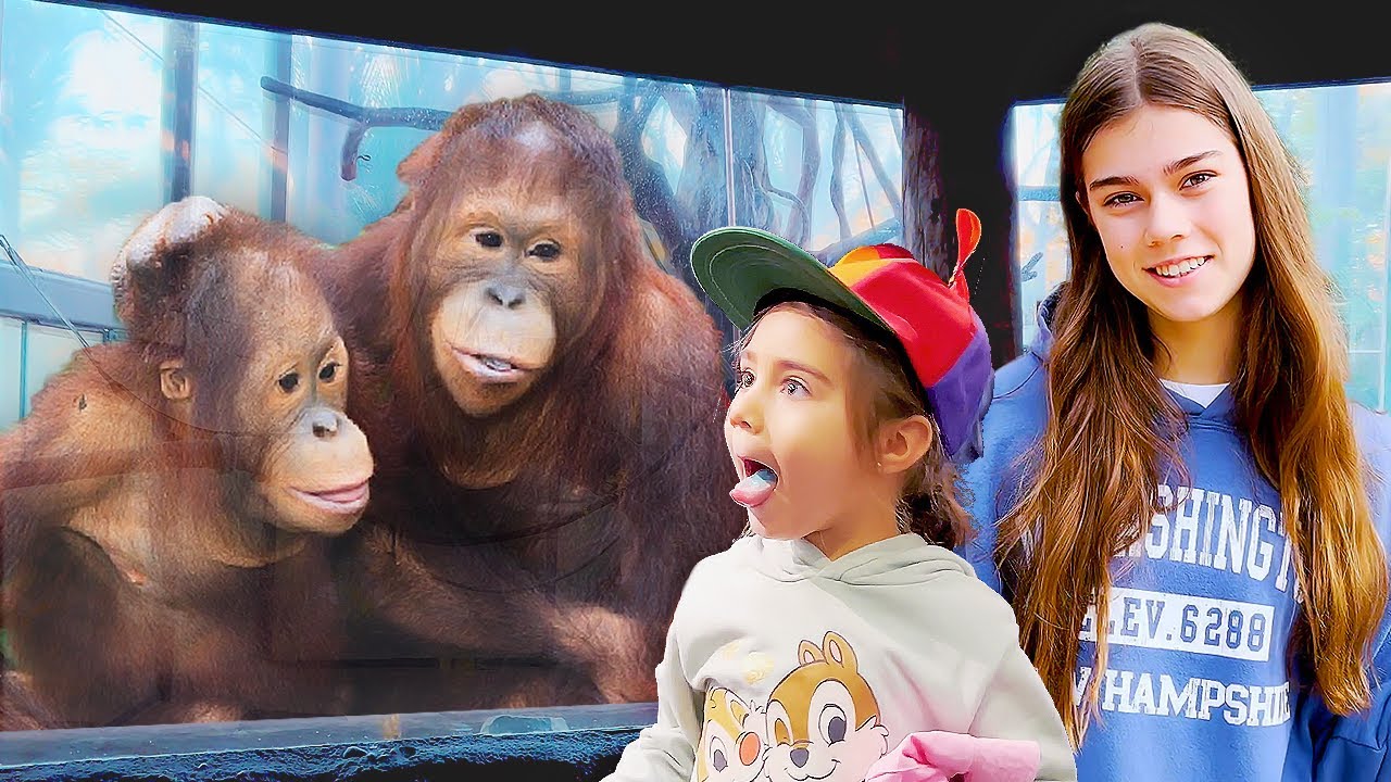 Nastya and Miya visited the zoo and learned a lot about different animals 🦒🐊🐒 Fun family trip