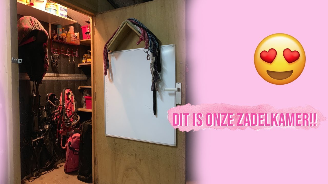 DIT IS ONZE NIEUWE KAST - Kasttour!  | Haflingers King & Beau