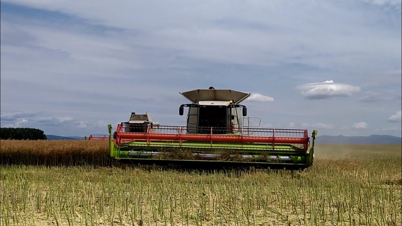 Žatva 2019 | Claas Lexion 600 / 580 / 570+ | SPD  Veselé