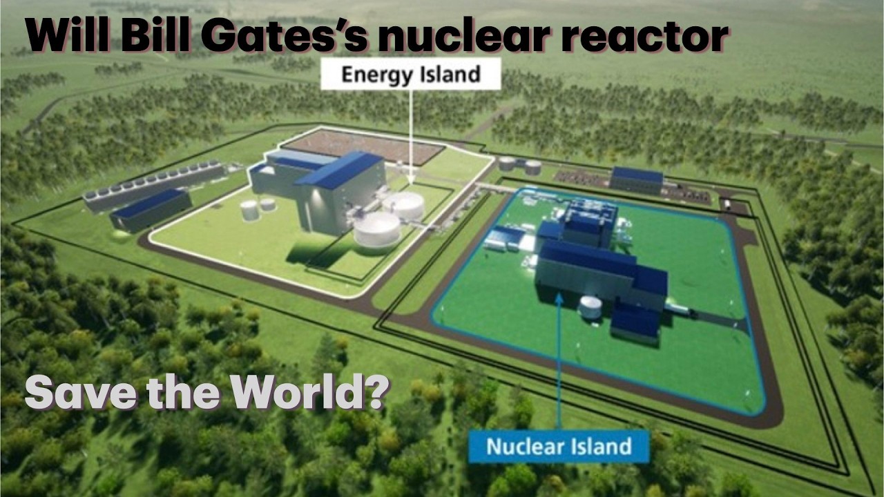 Sodium-Cooled Nuclear Reactors: Solution or Mirage?