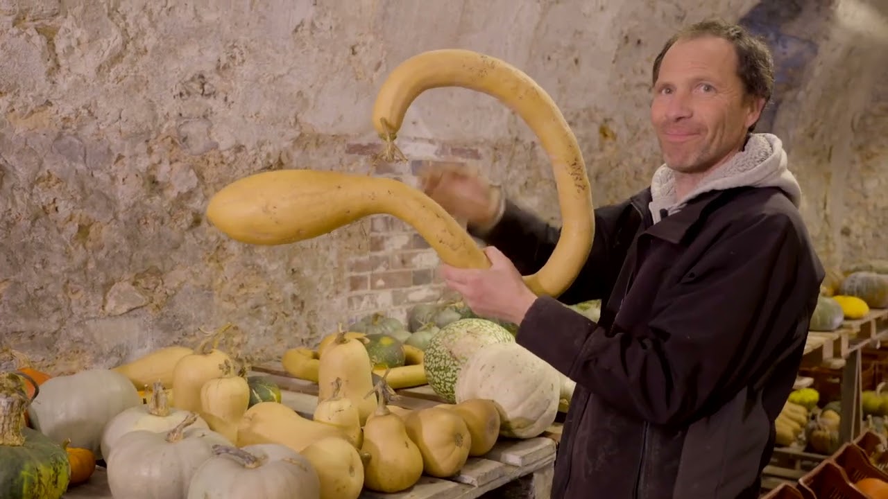 Les courges | Les tutos du Potager du Roi
