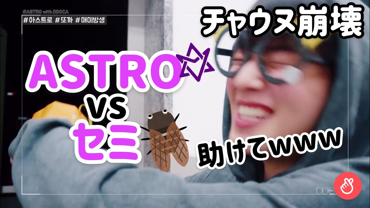 【日本語字幕】ASTRO神回！皆大好き伝説のセミ退治大作戦！【チャウヌ崩壊】
