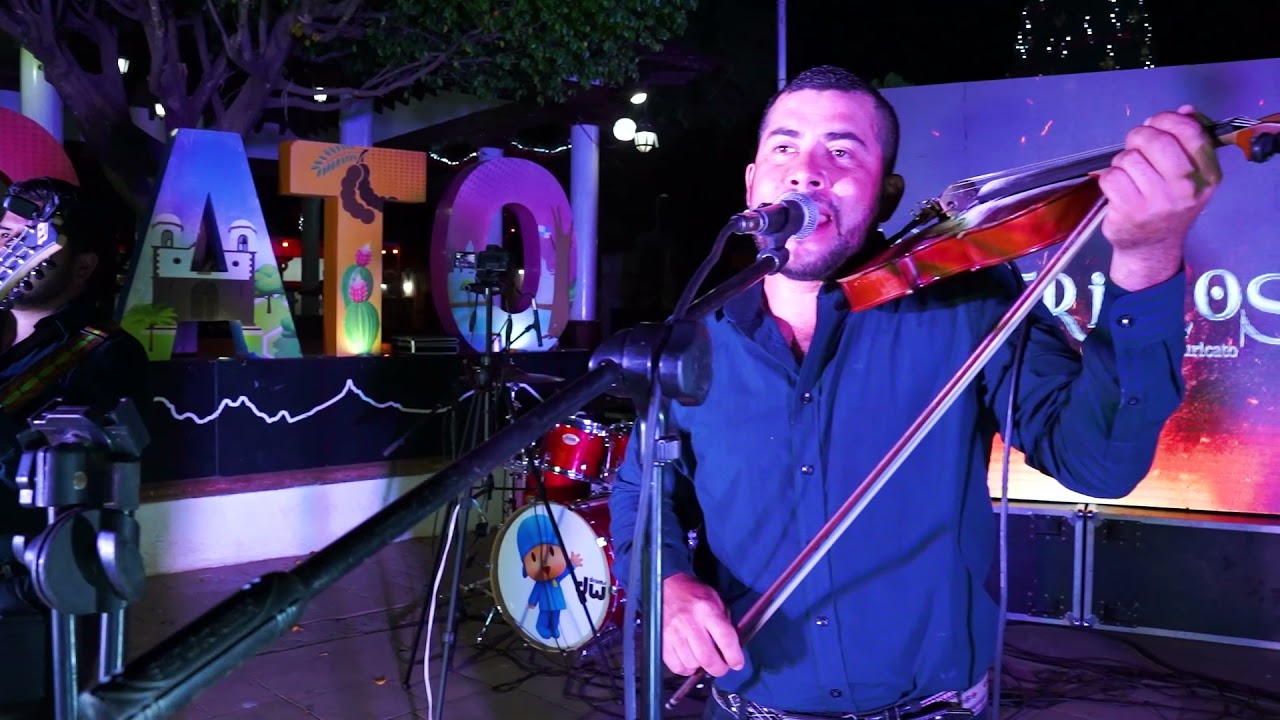 Los Potrillos De Turicato - (Zapateado) El Polvorete