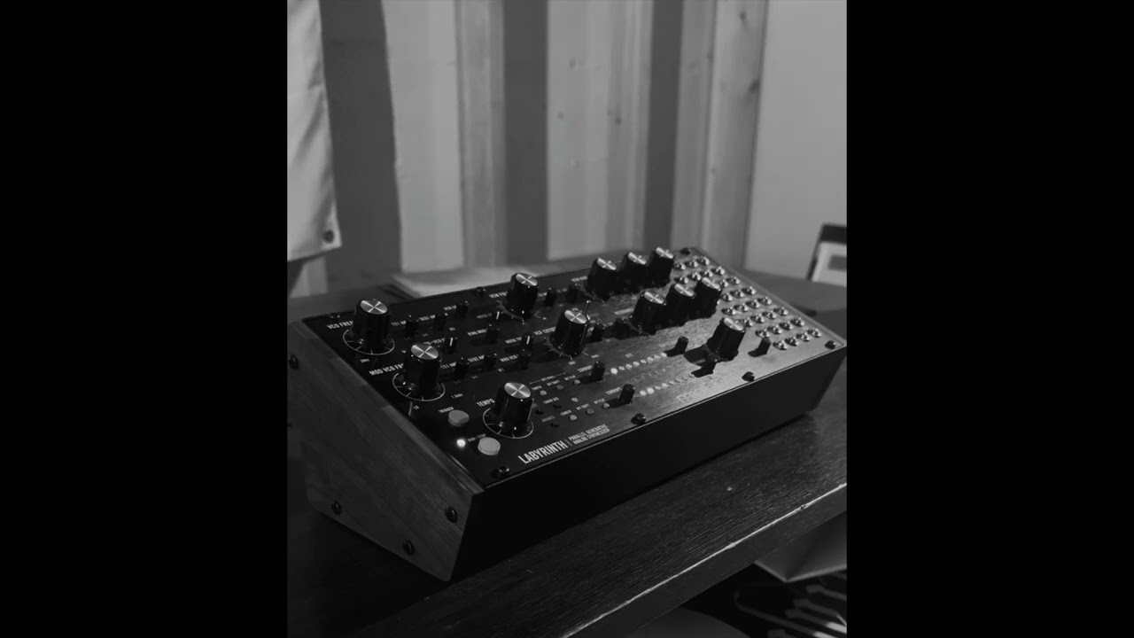 Moments of Bliss//  Moog Labyrinth ambiance