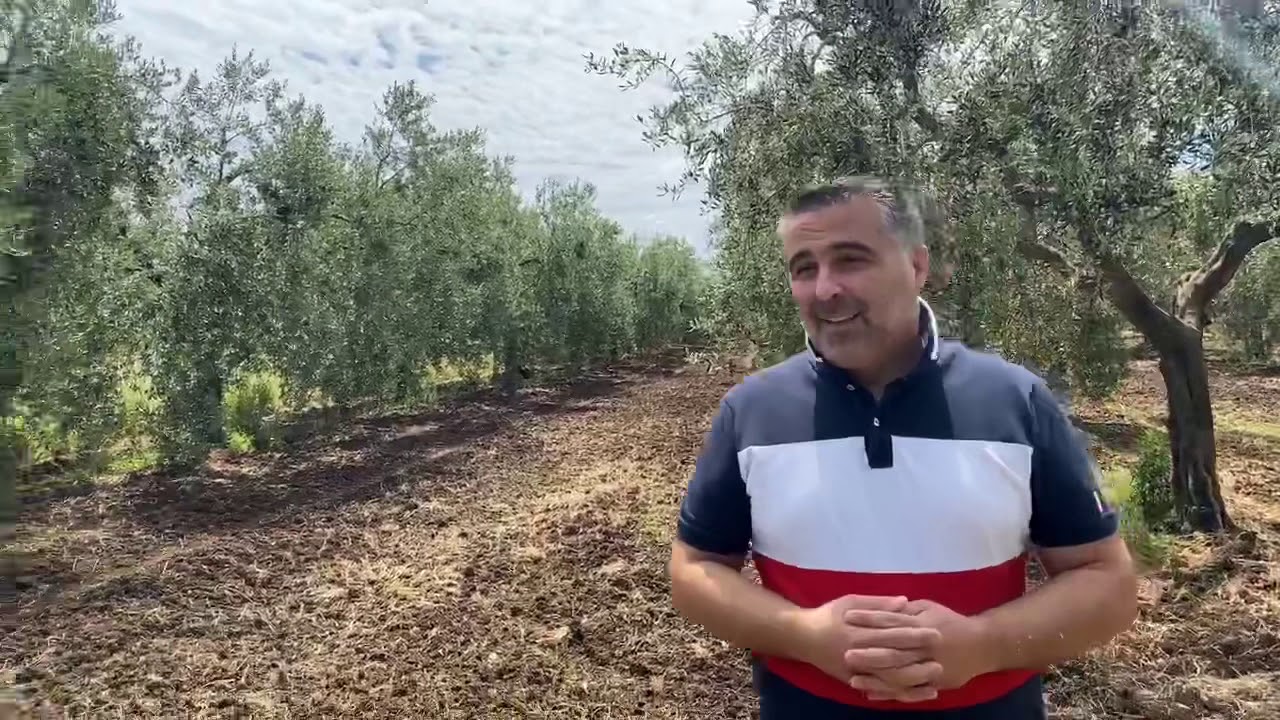 Visita ad un Oliveto abruzzese.
