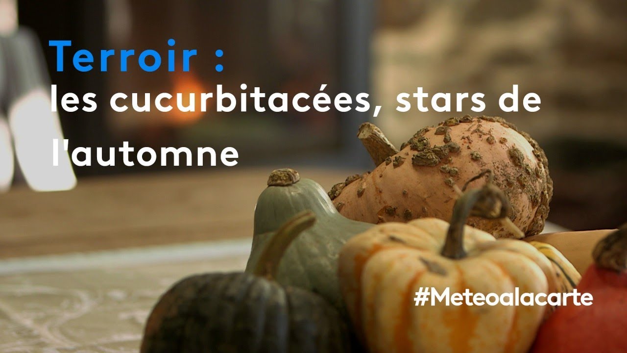 Les cucurbitacées, stars de l'automne - Météo à la carte